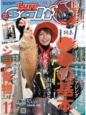 cover image of ルアーマガジンソルト2018年11月号